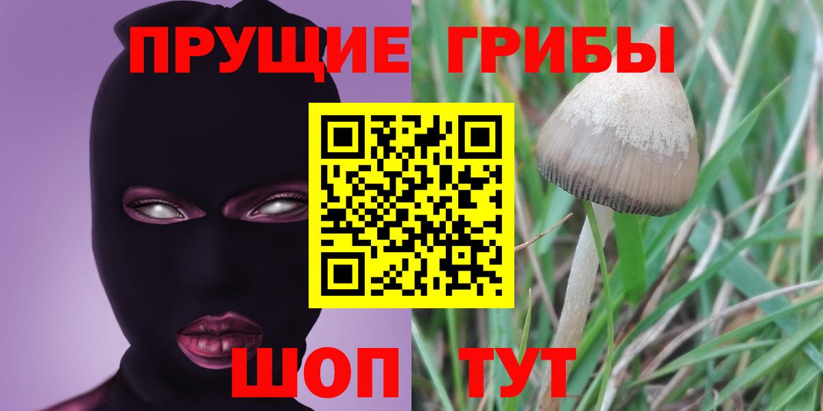 Псилоцибиновые грибы ЛСД  даркнет сайт  Самара  Вход с VPN 