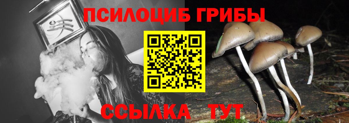 Галлюциногенные грибы Cubensis Самара